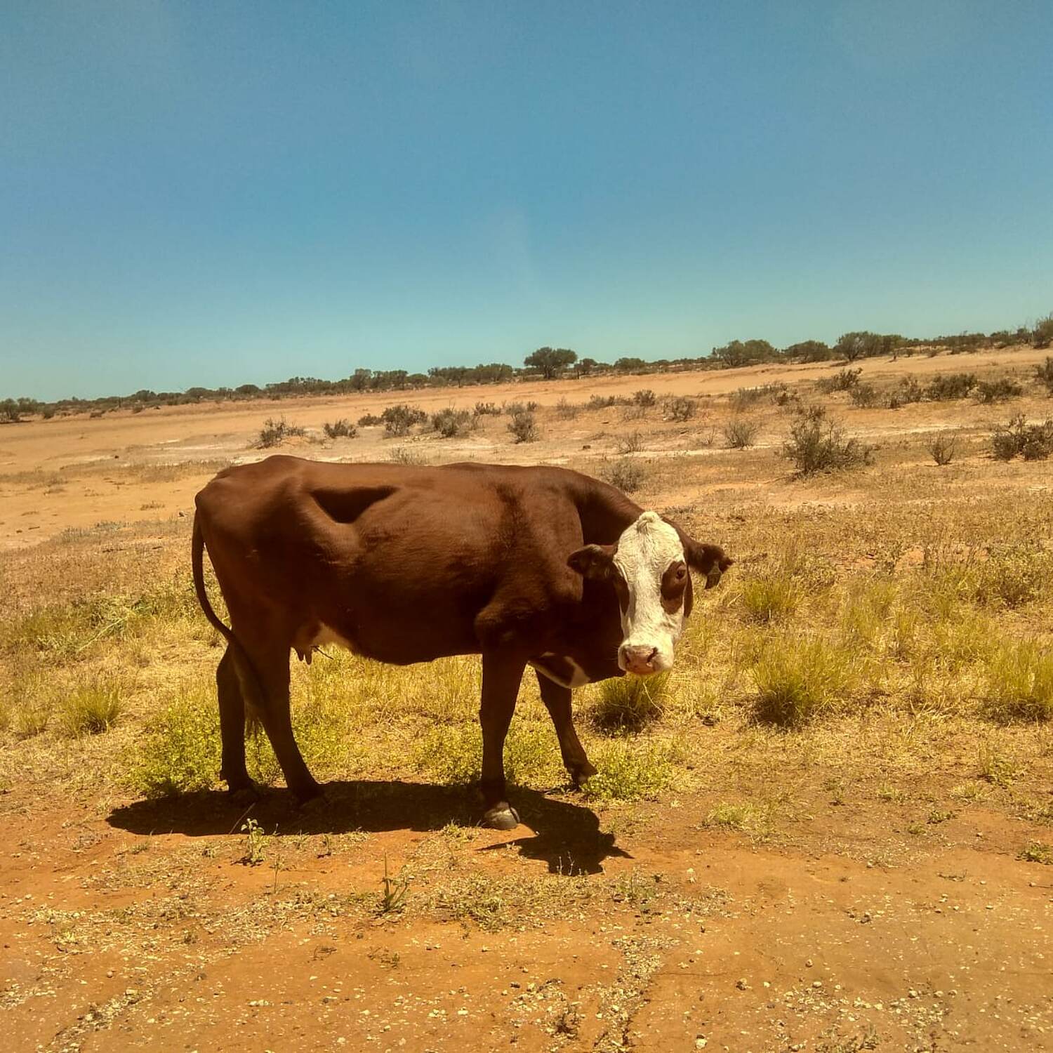 Westaustralien 2019