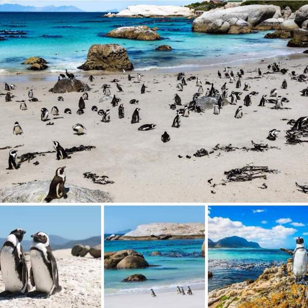 Südafrika - Garden Route