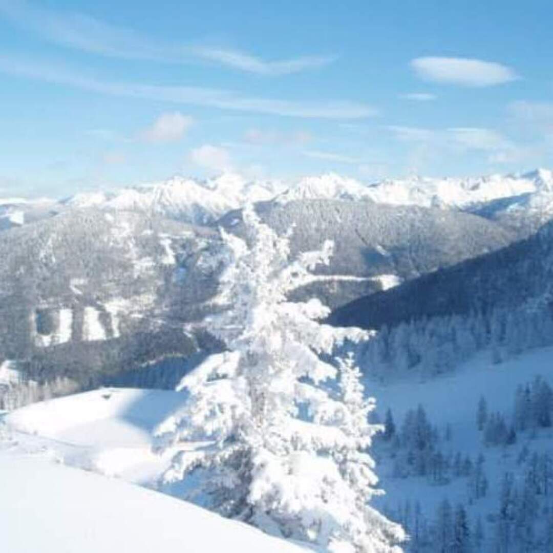 Schifahren Reiteralm
