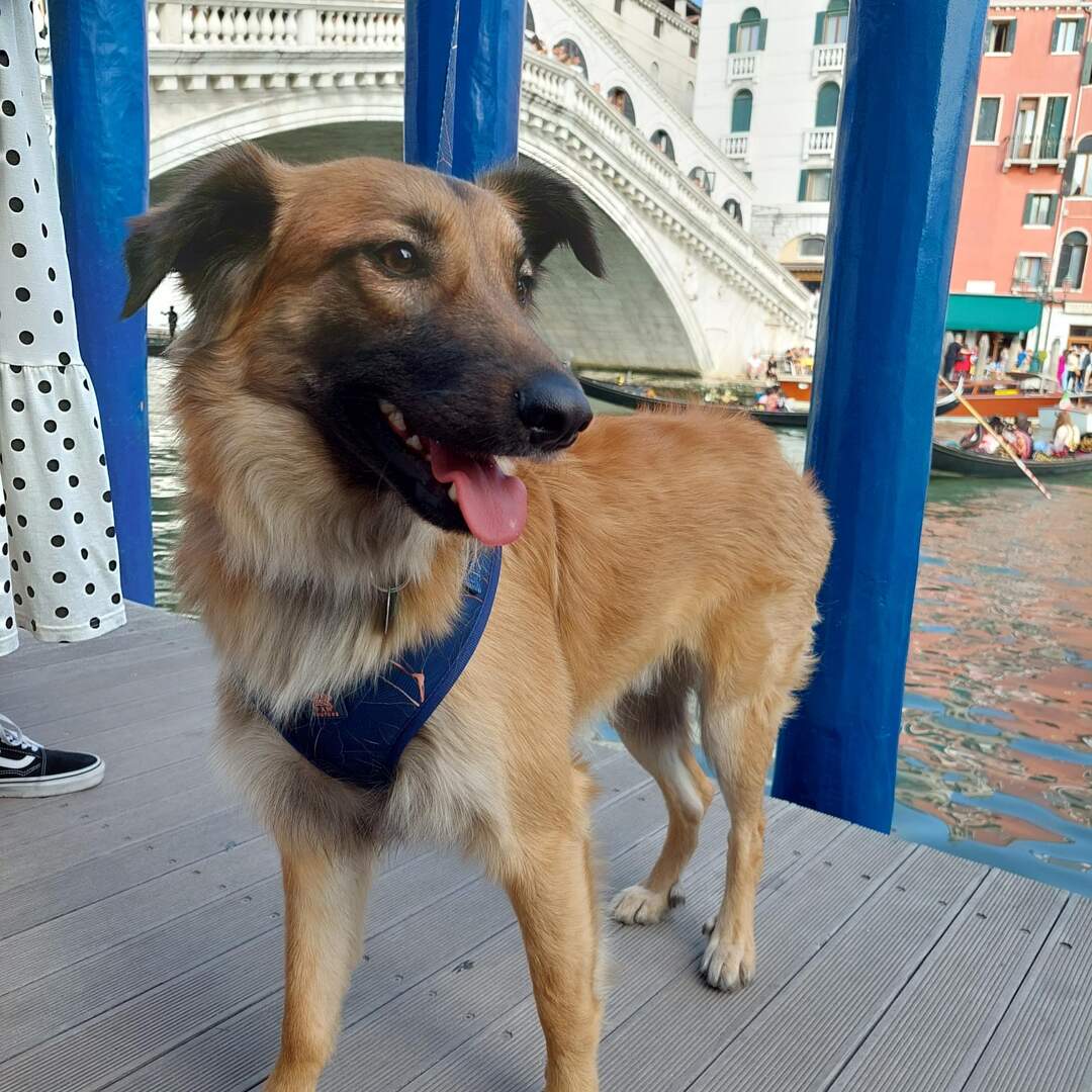 BDay in Venice