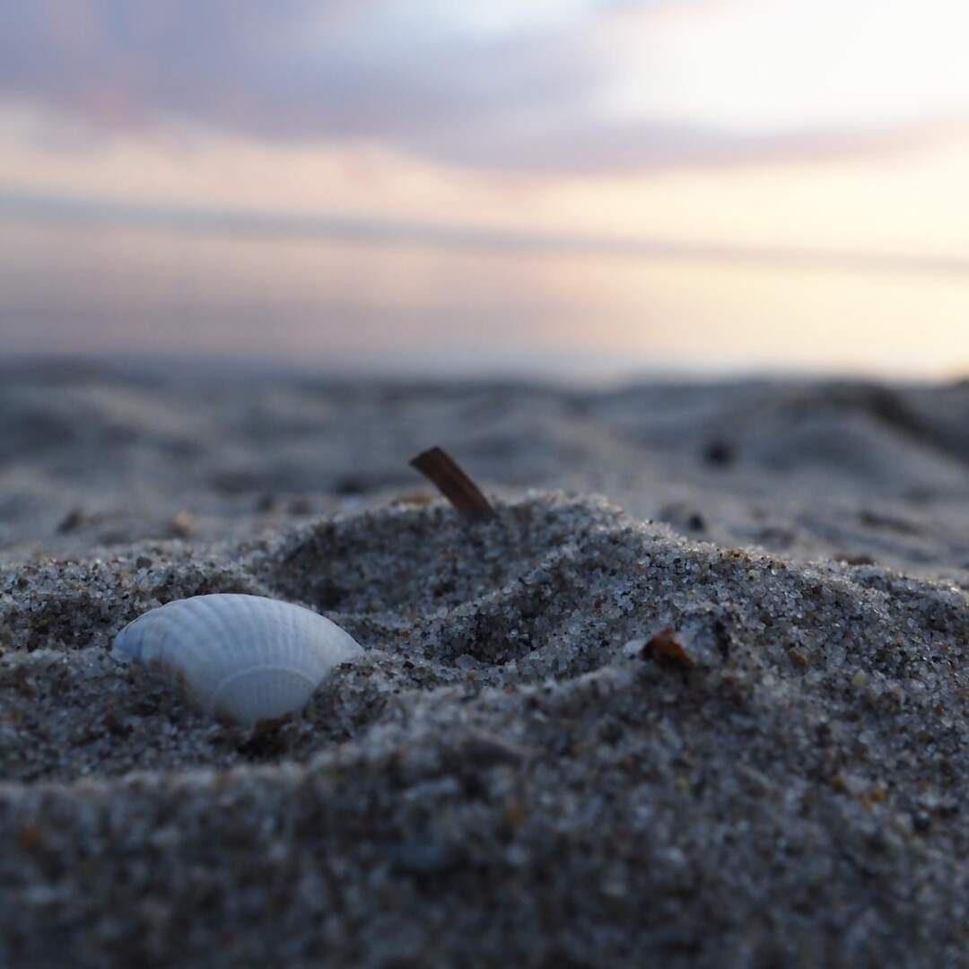 Berlin & Ostsee