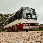 Busman
