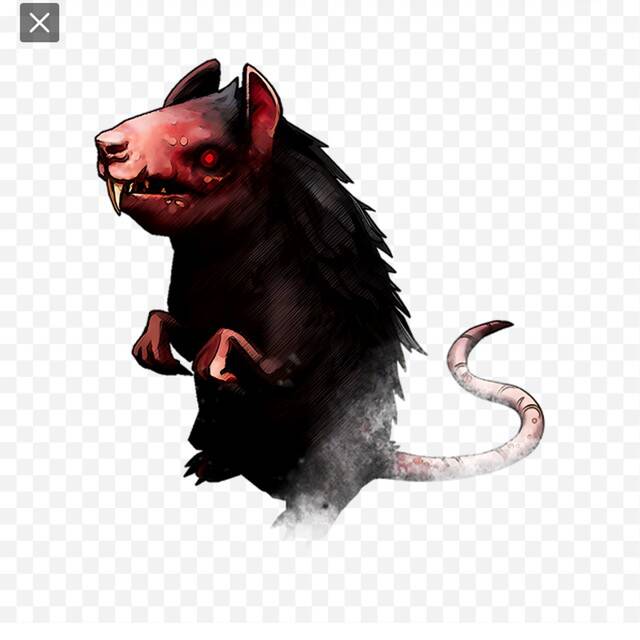 Jim the boat rat