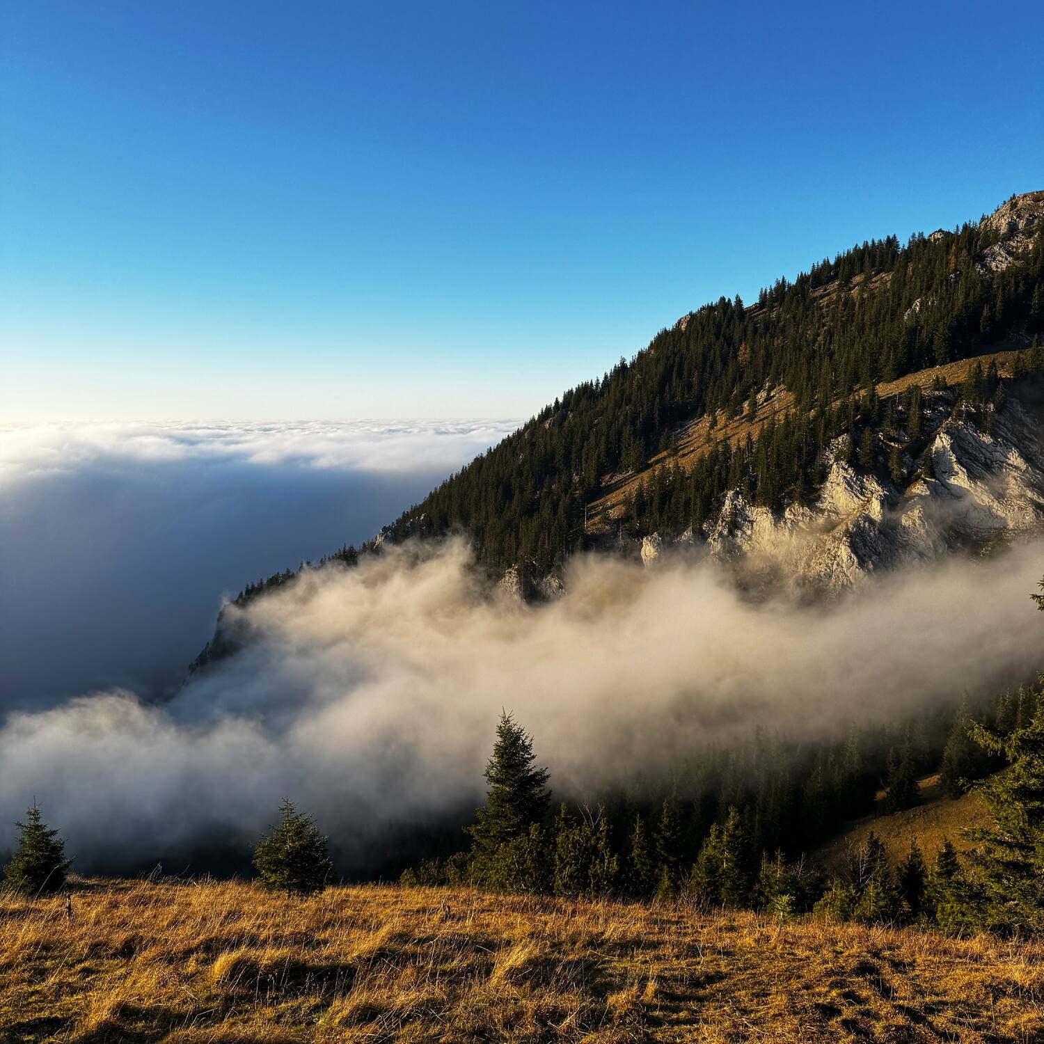 Breitenstein (800hm, 4:30h)