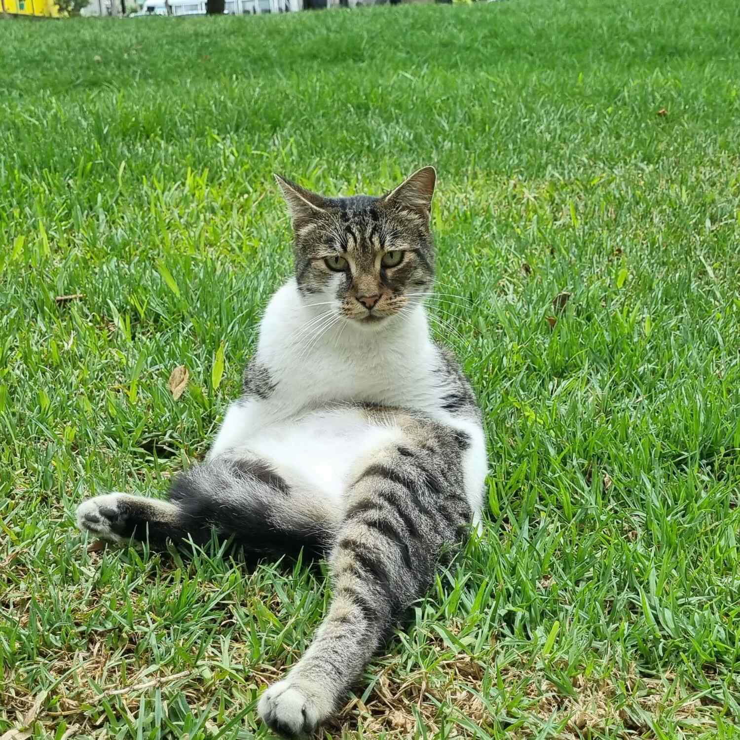 Voyage amerique du sud