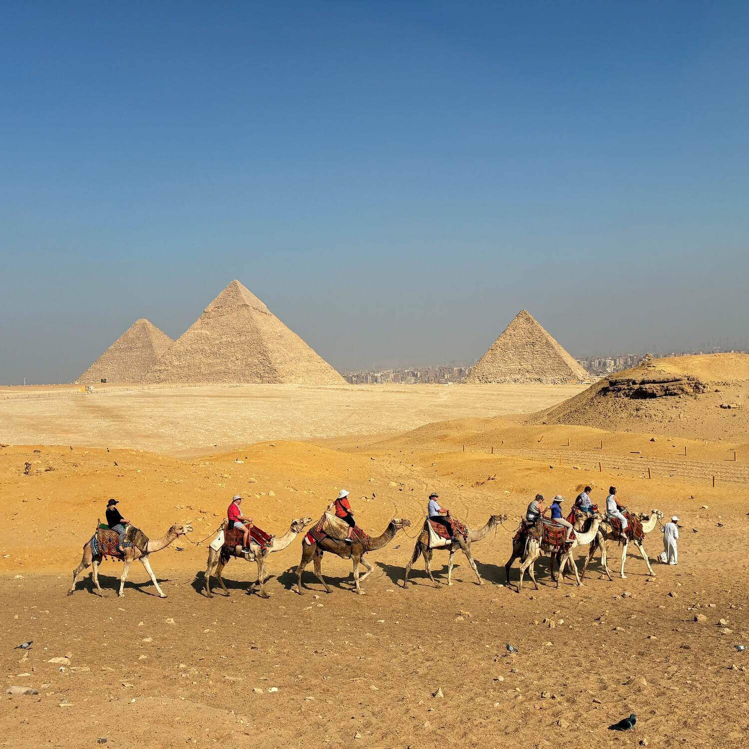 Flow Like the Nile: Egypt 2025