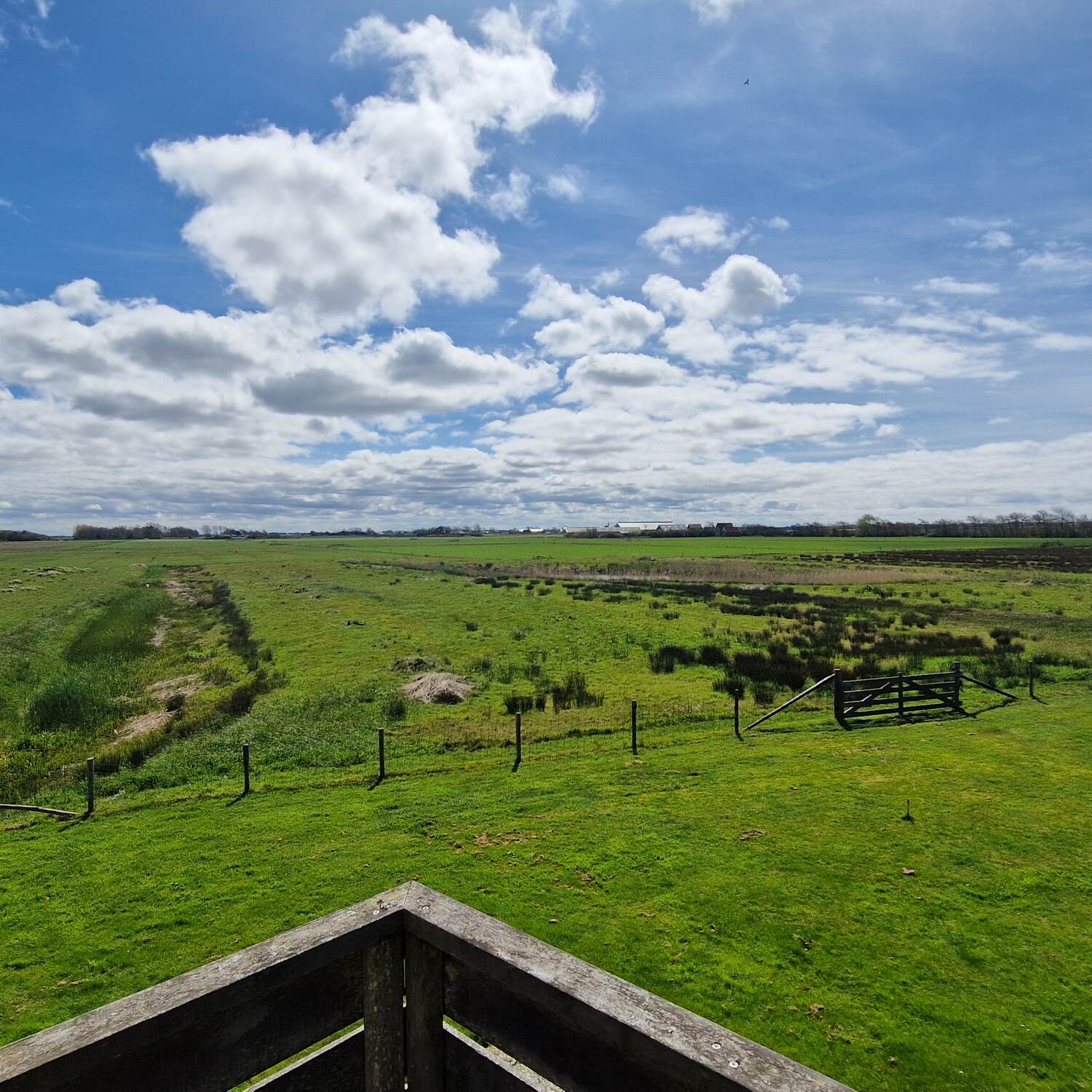 Texel