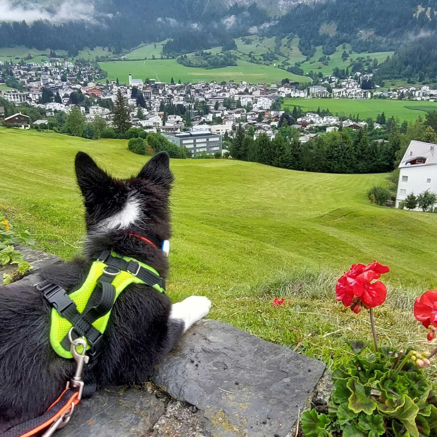 Der erste Kurztrip für Skye