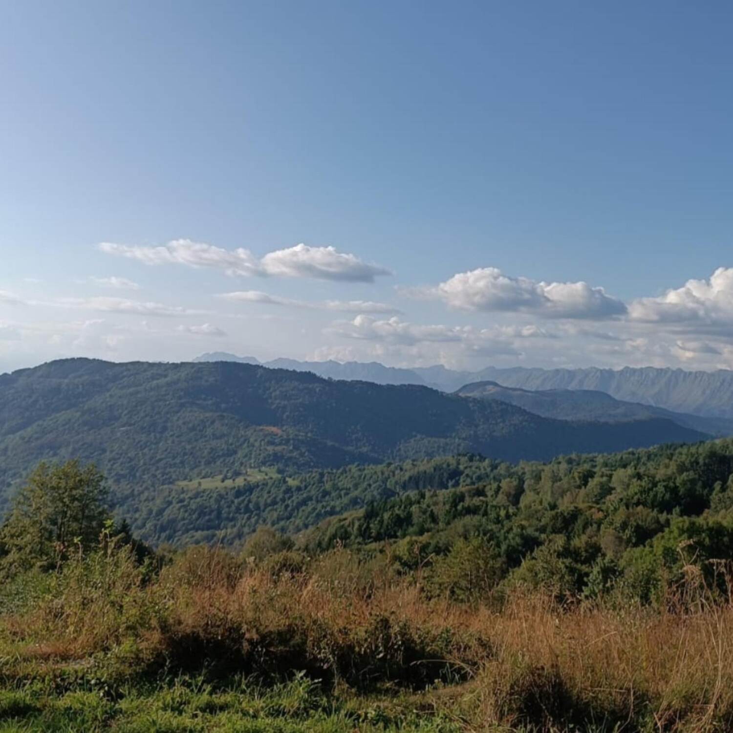 FVG Trail