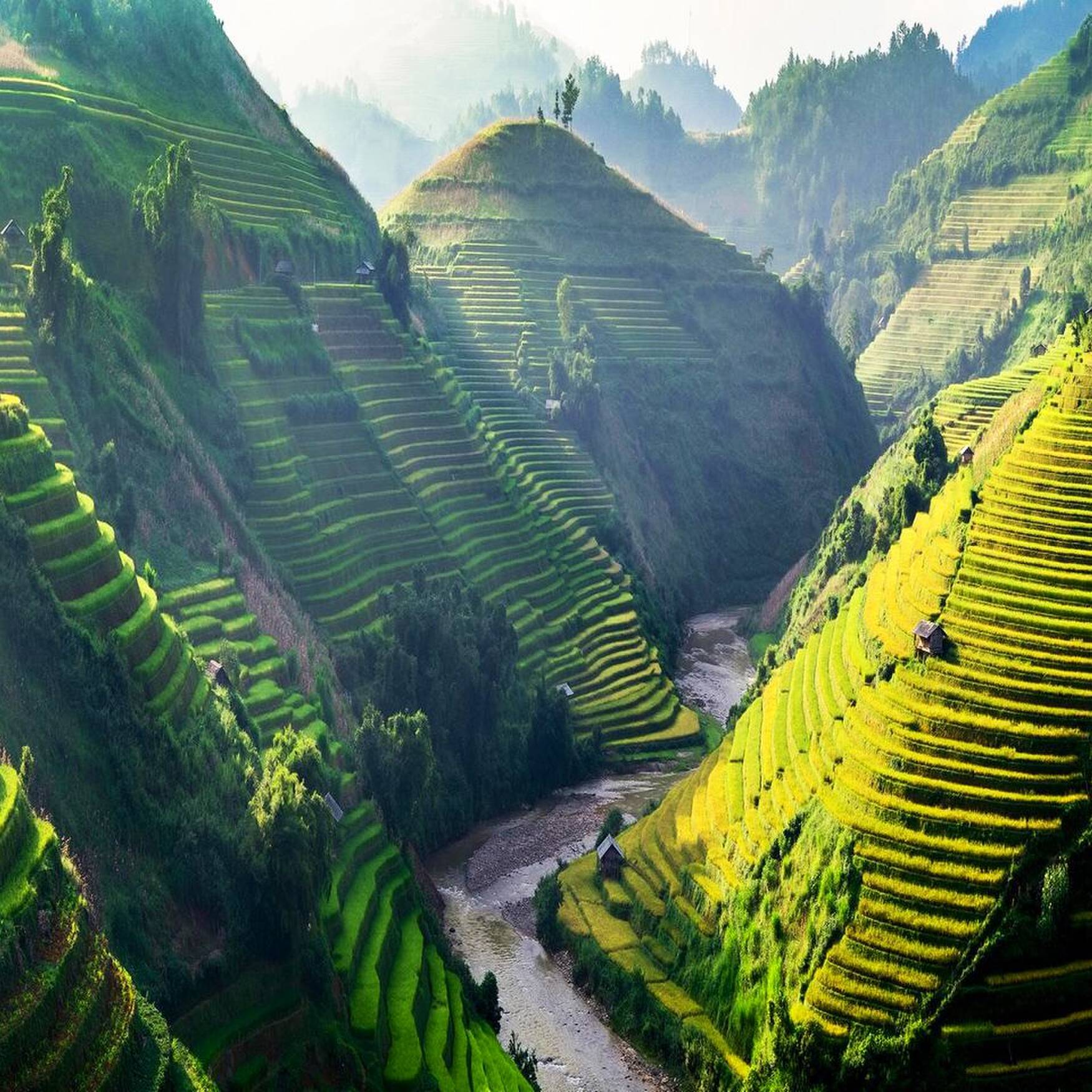 Vietnam 2024