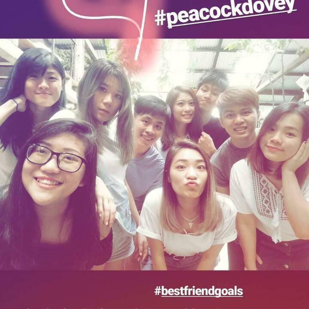 Peacock Dovey Gateway