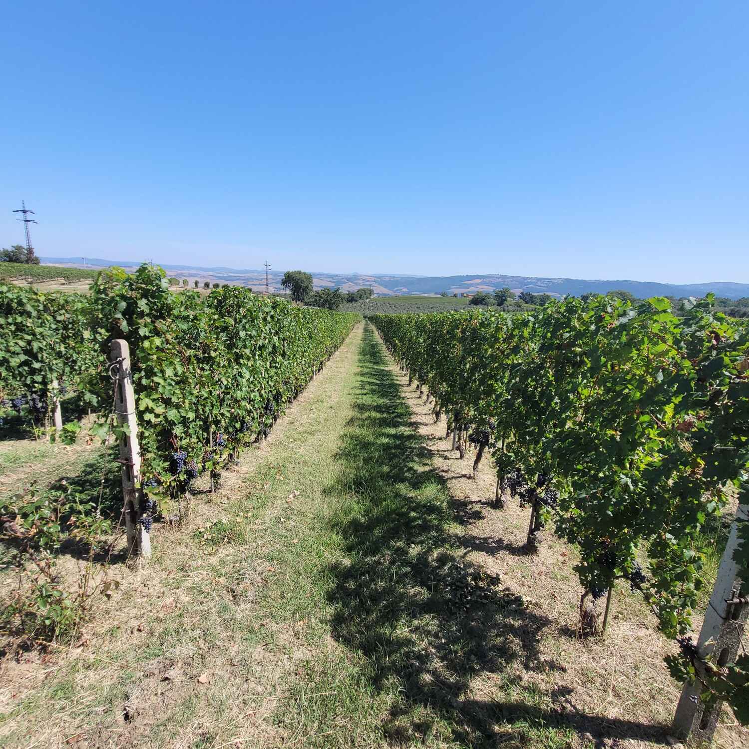 La provincia di Siena