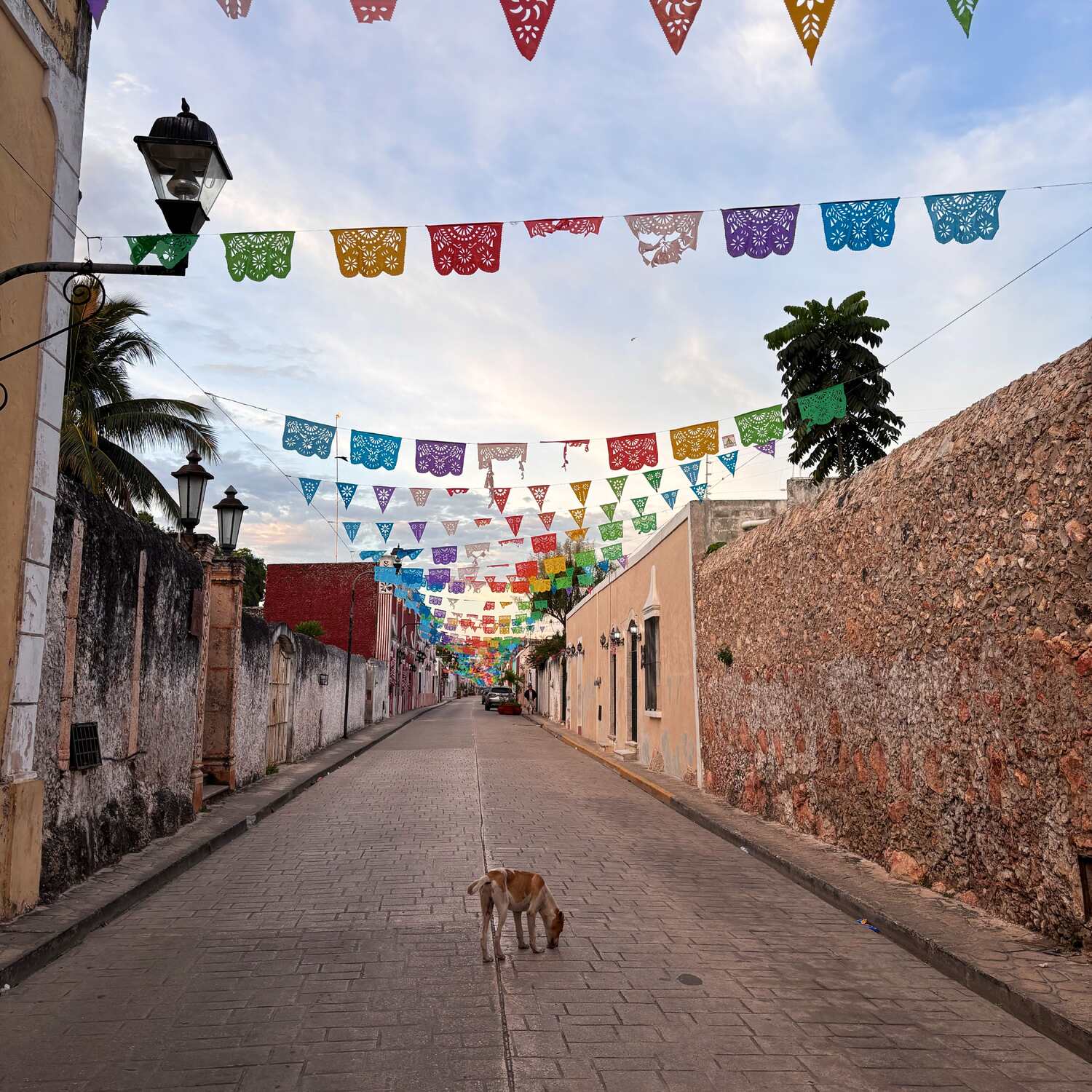 México 2024/2025
