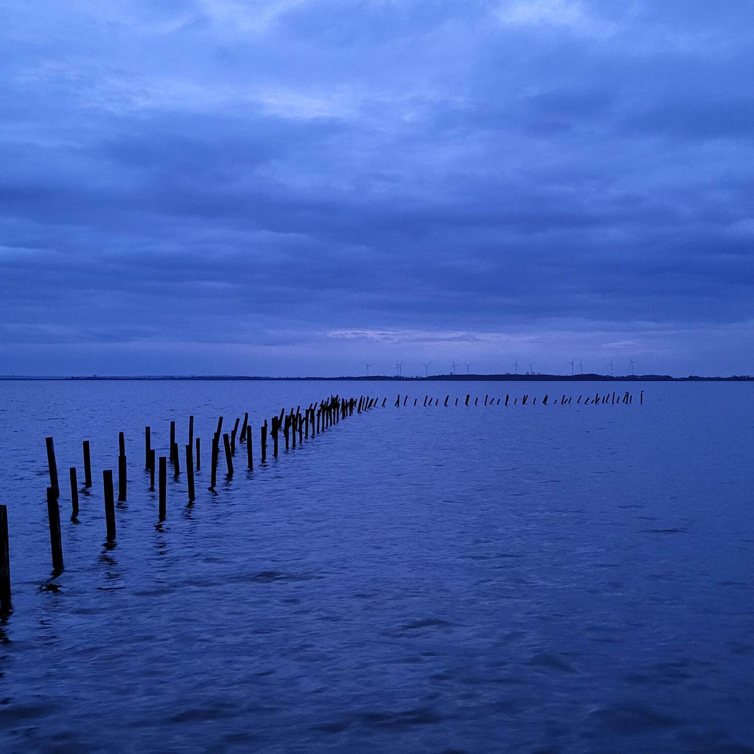 Wochenende am Dümmersee