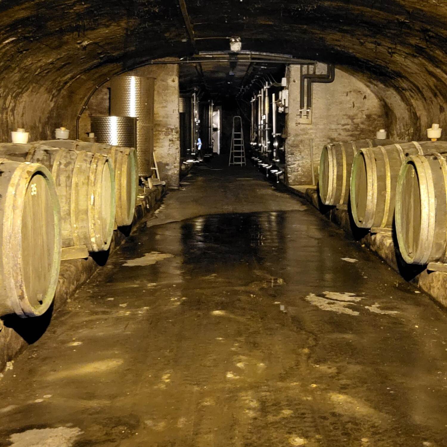 Mosel-Wein-Nachts-Markt