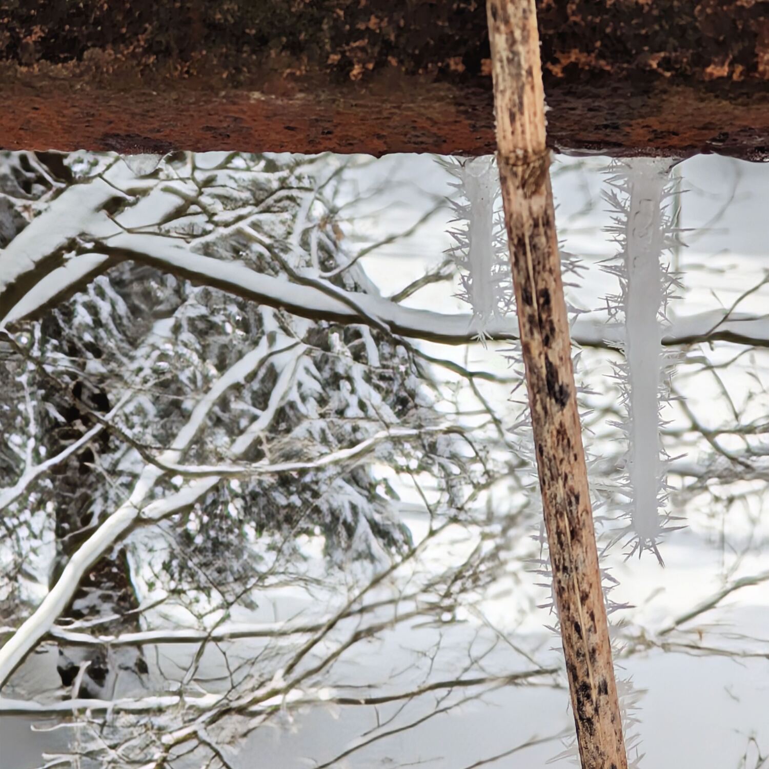 Mikulov v Kruśnych horach