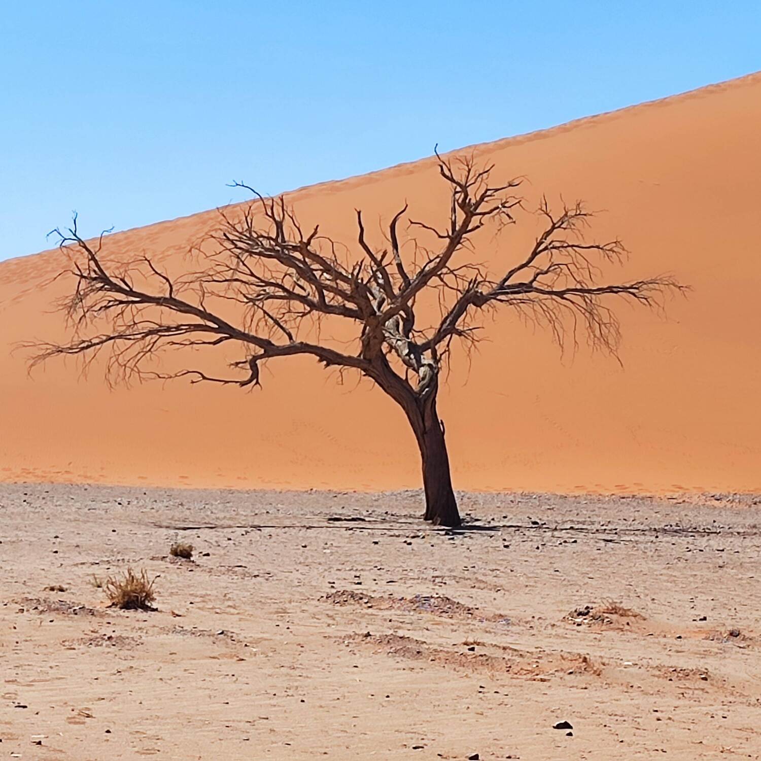Namibia 2024