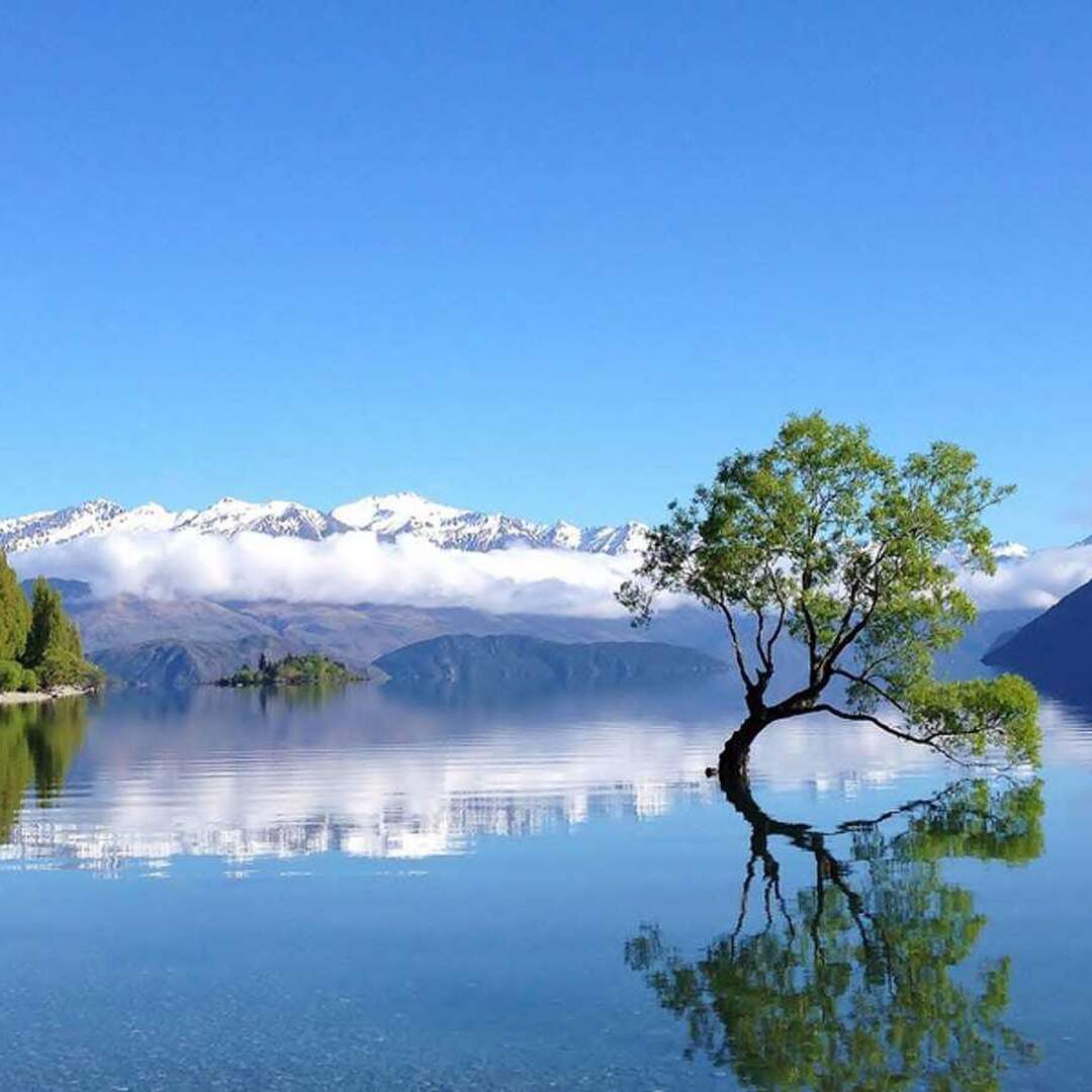 Travel Kiwistyle