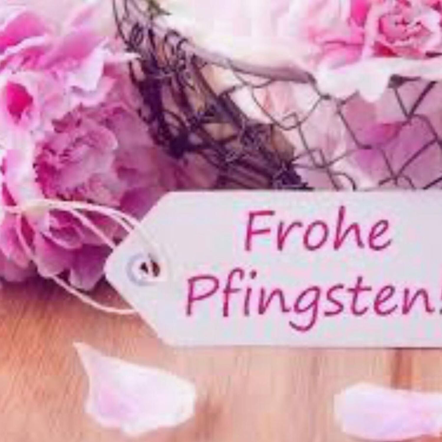 Friesensee Camping