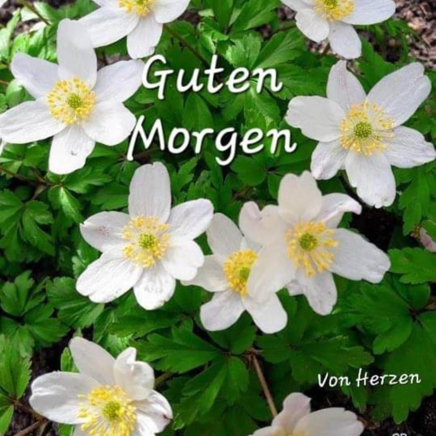 Pfingsten 2024