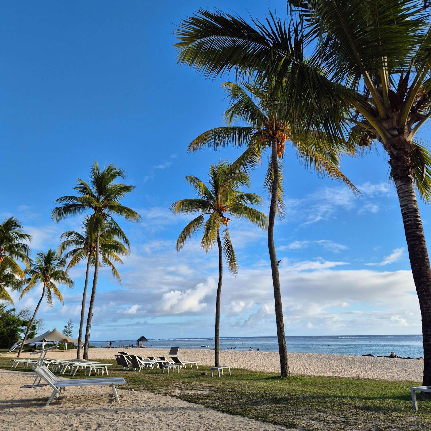 Mauritius