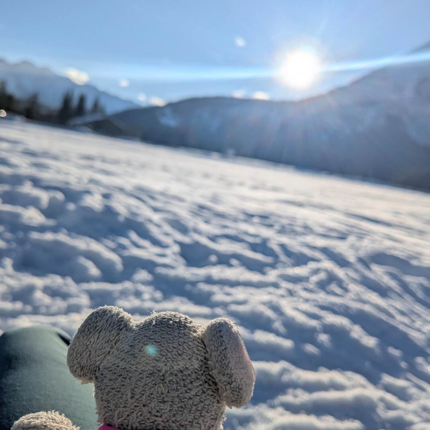Workcation im Schnee