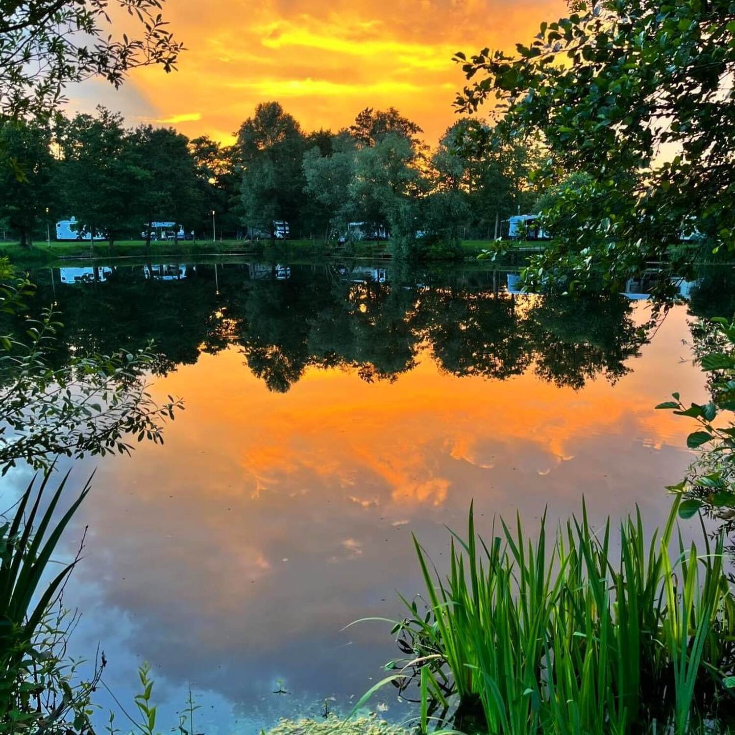 Campingplatz Peelvenneke
