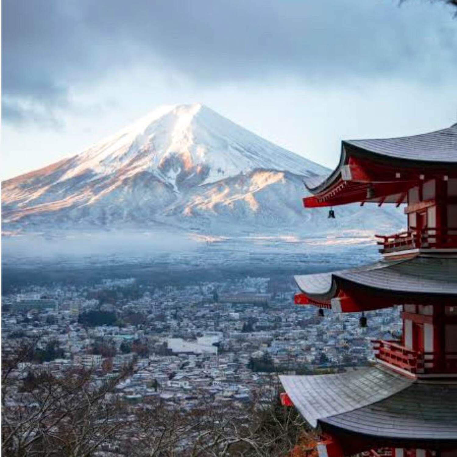 Japan tour and Cruise 2024