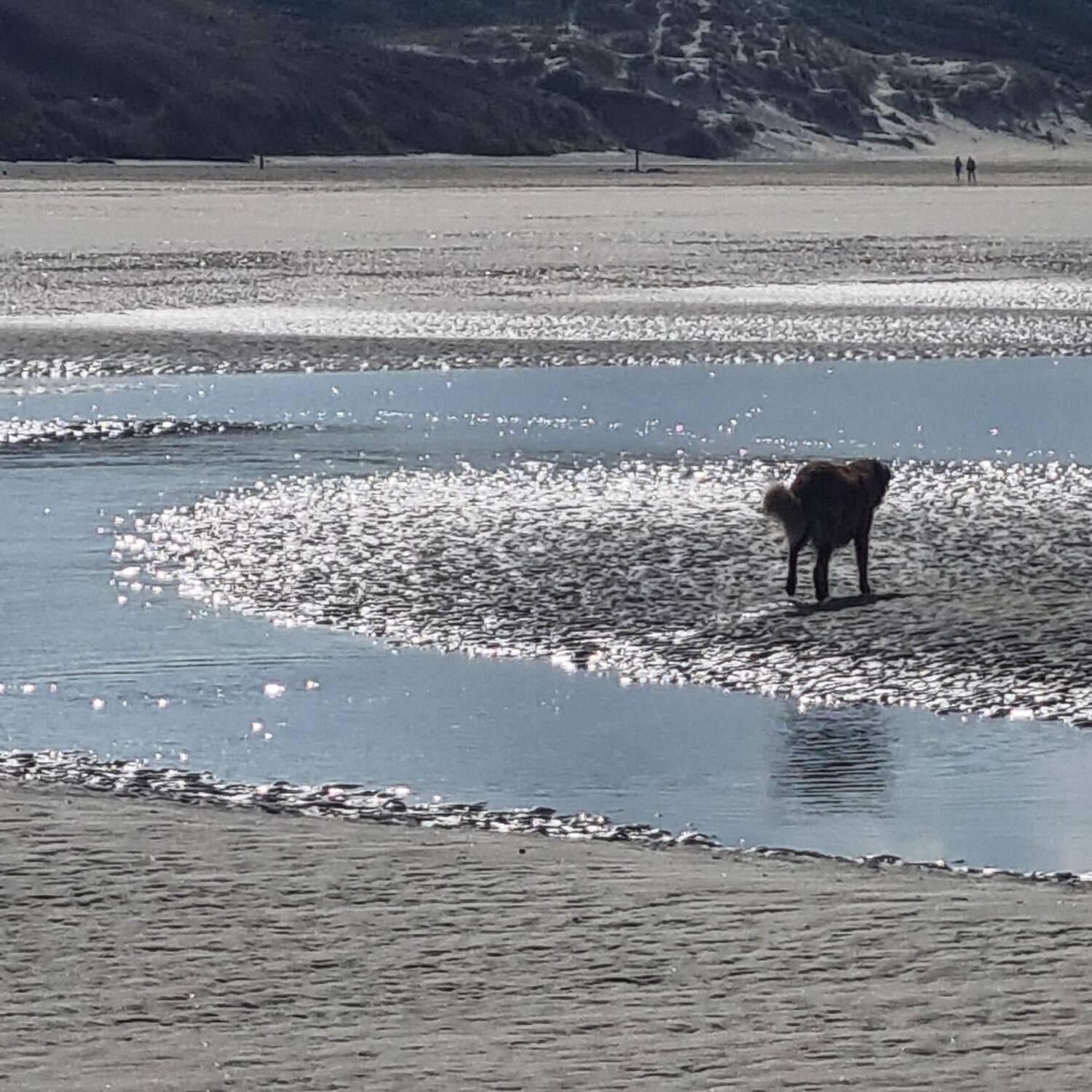 Bajou on Tour III- France