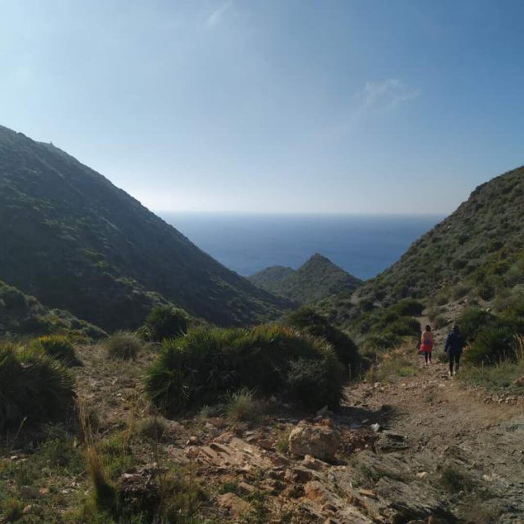 Somewhere around...