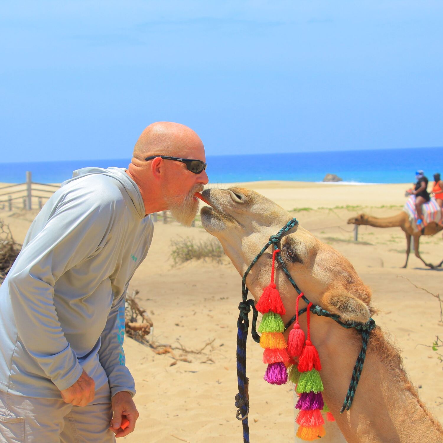 Ancient Wonders: Egypt, Jordan