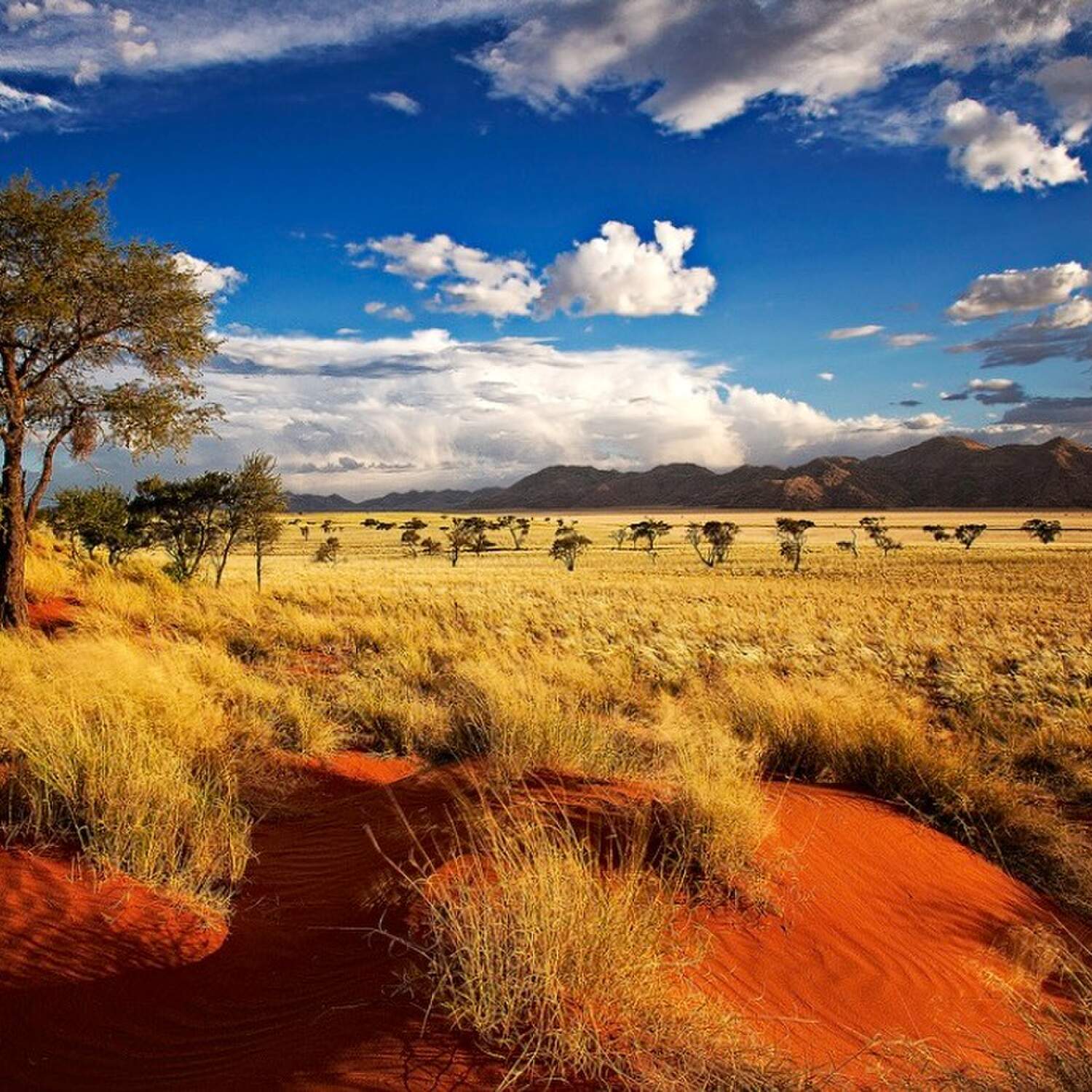 Namibia … wartet