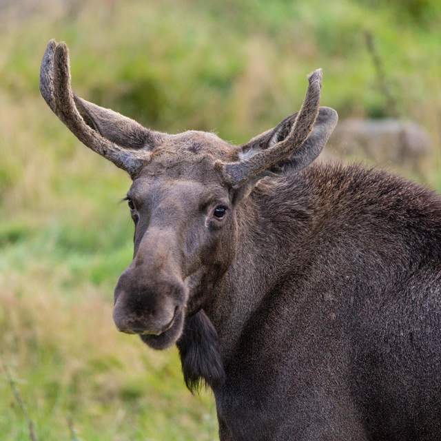Schweden Südwest