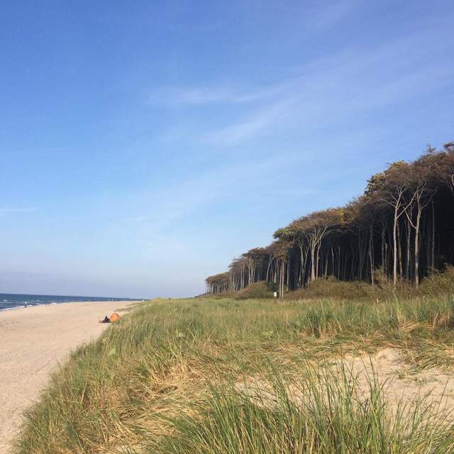 Südlich der Ostsee