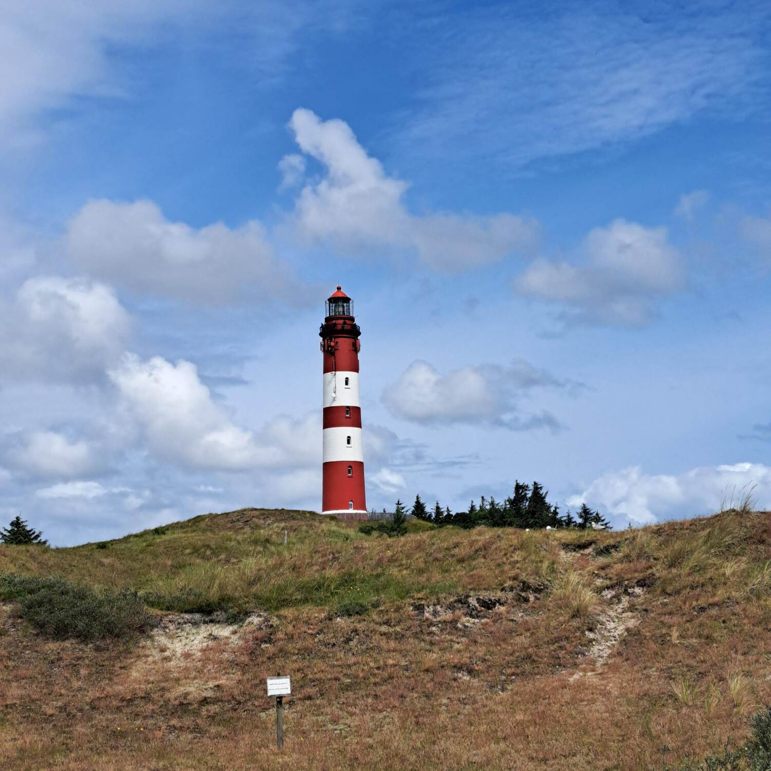 Amrum