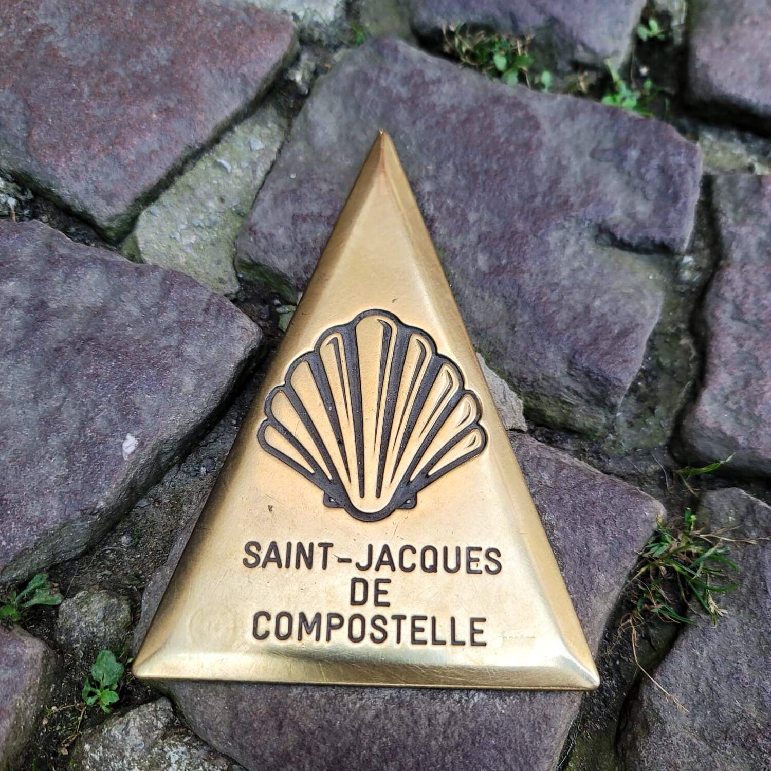 Camino Frances 2024