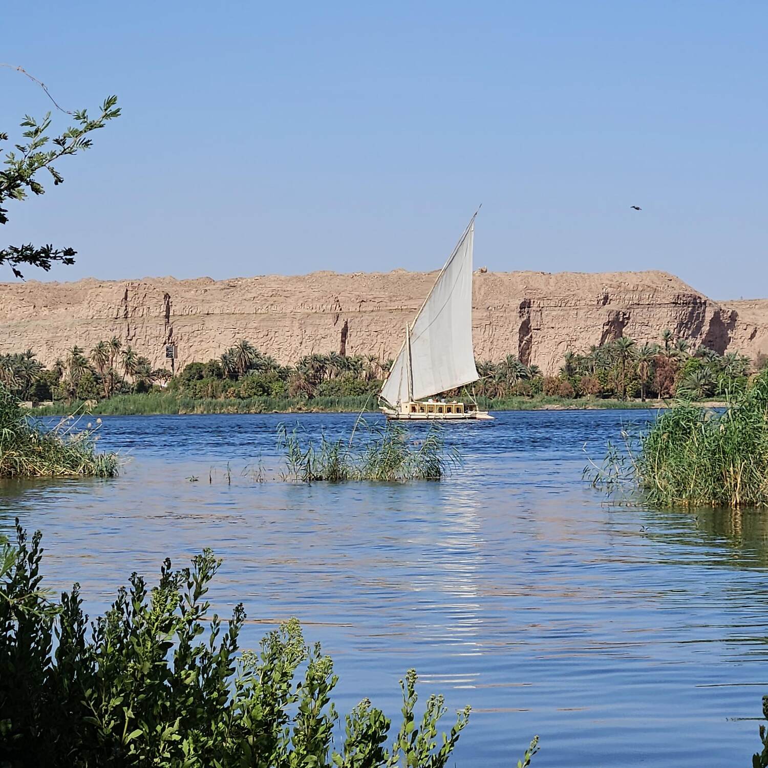 Égypte Mai 2025
