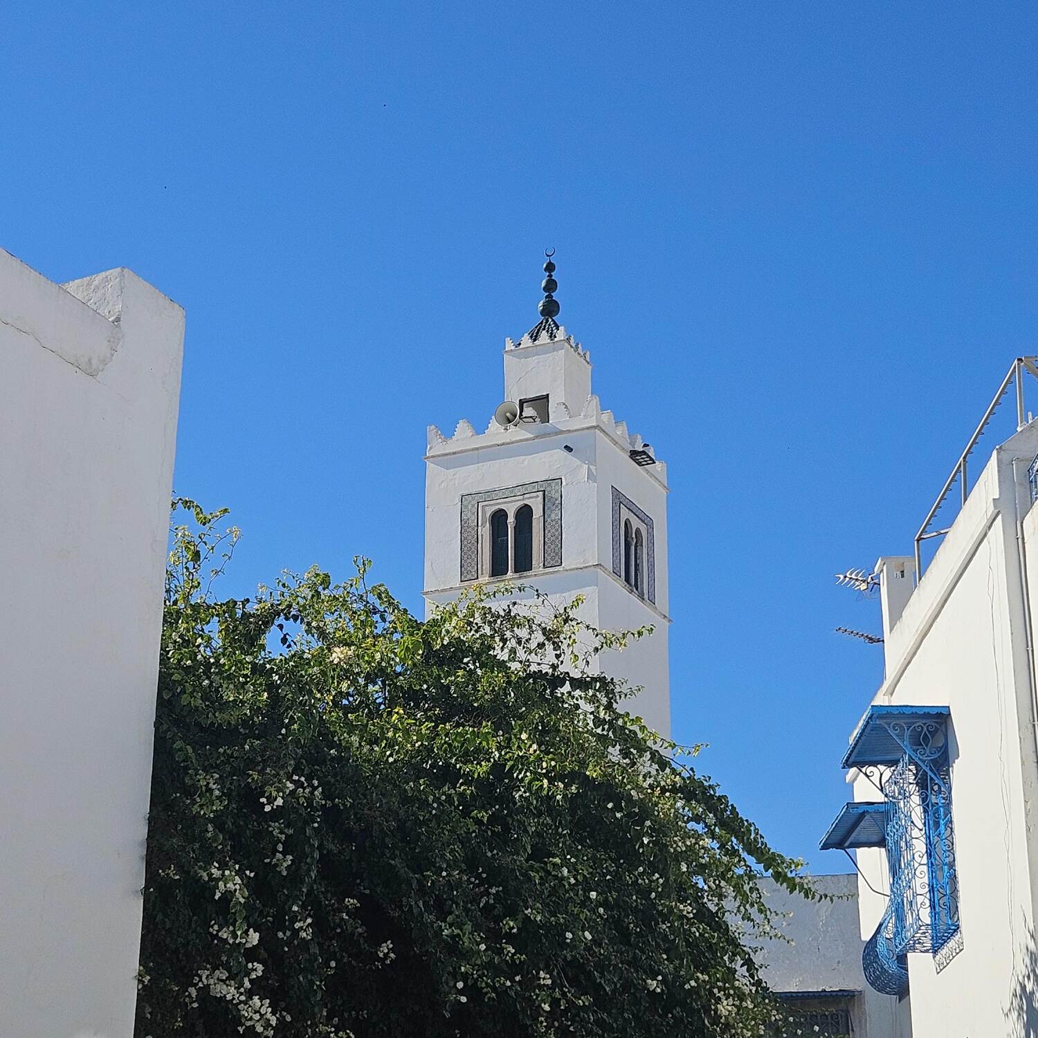 Tunisie Janvier 2025 🇹🇳