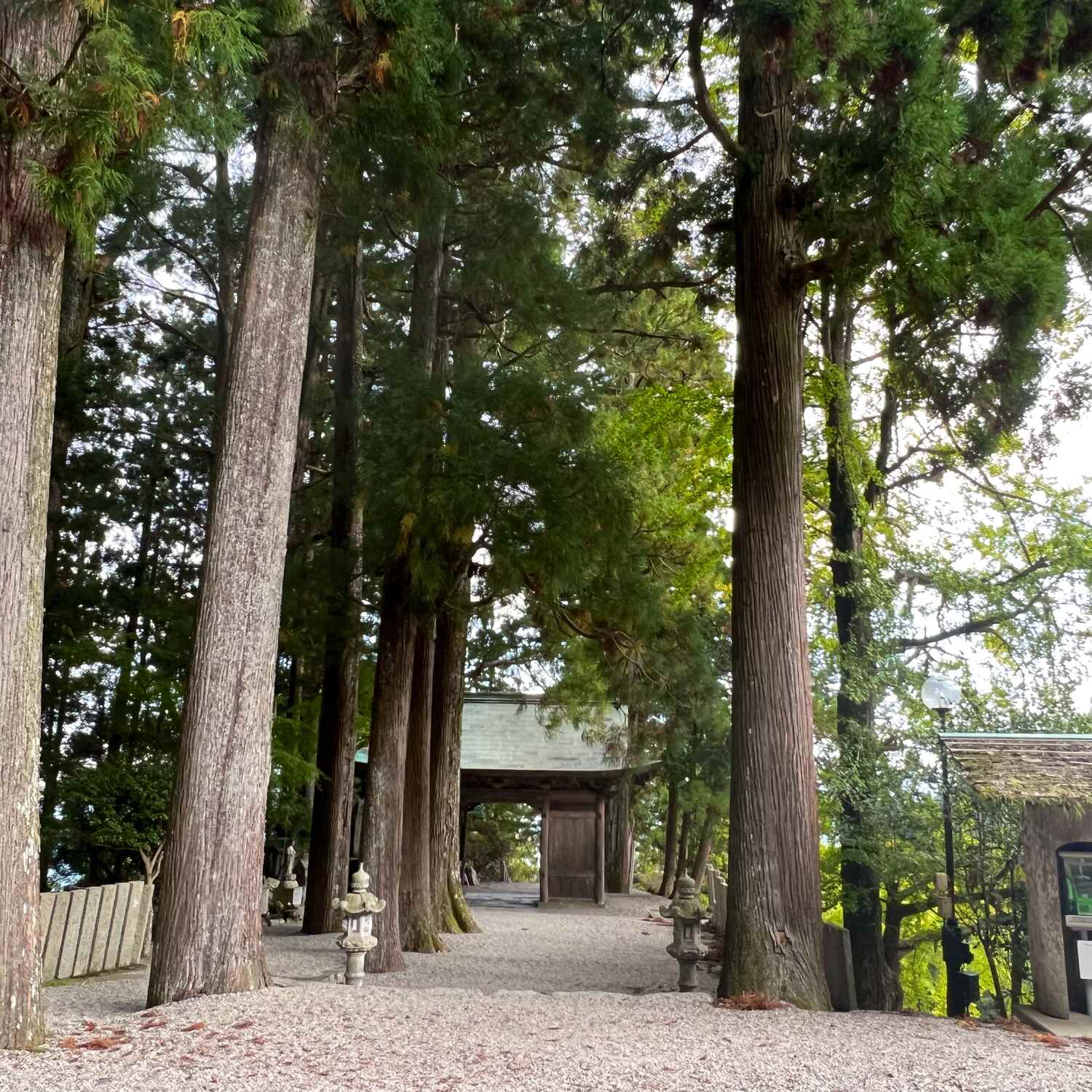 Shikoku 88 Pilgrimage 2023