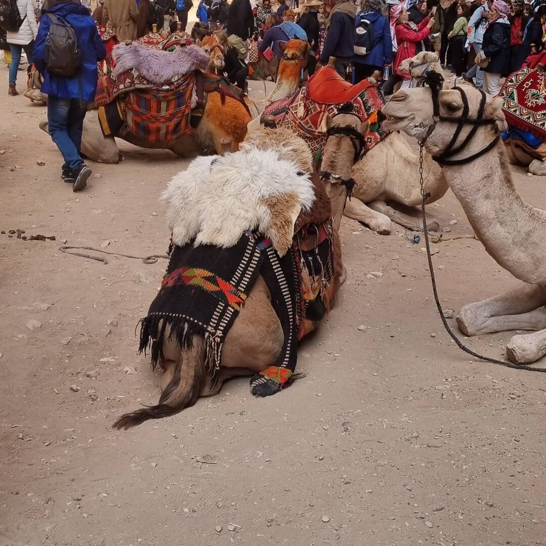 Jordanien
