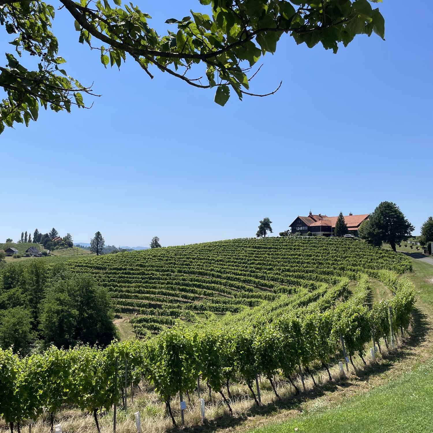 Slovenia