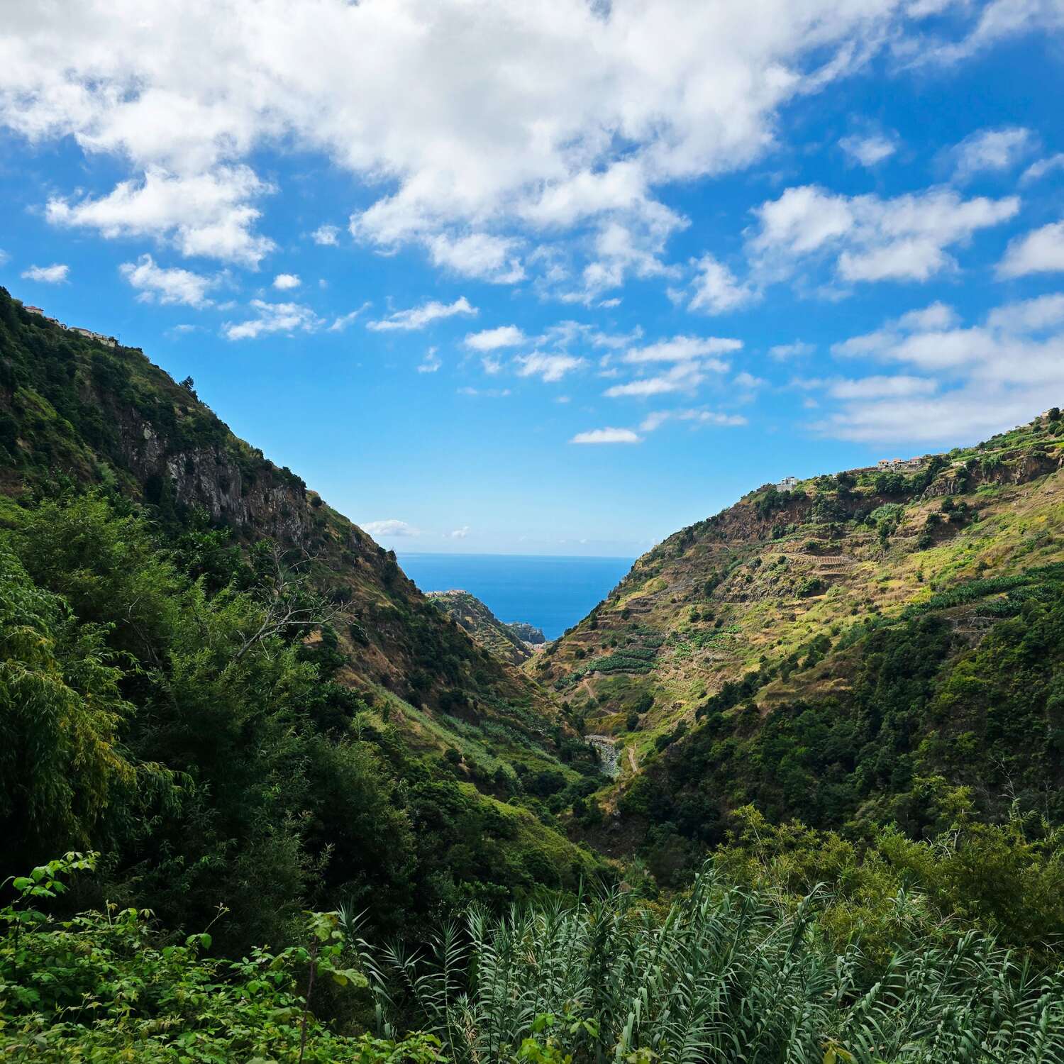 Madeira 3.0