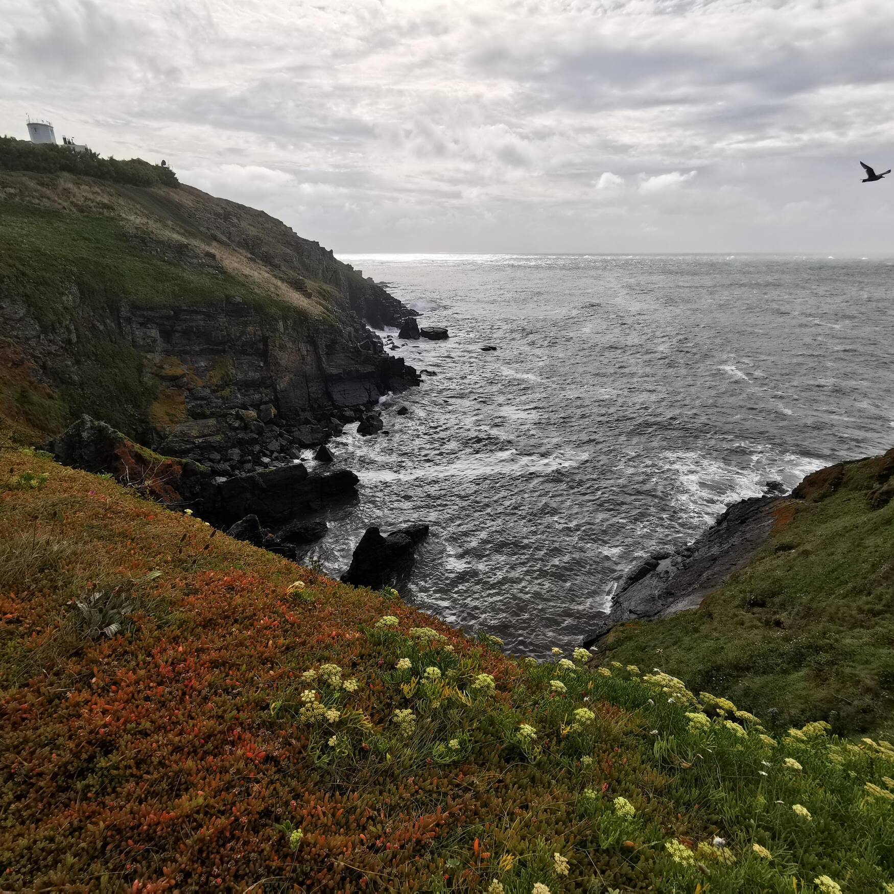 The South-West Coast Path 2