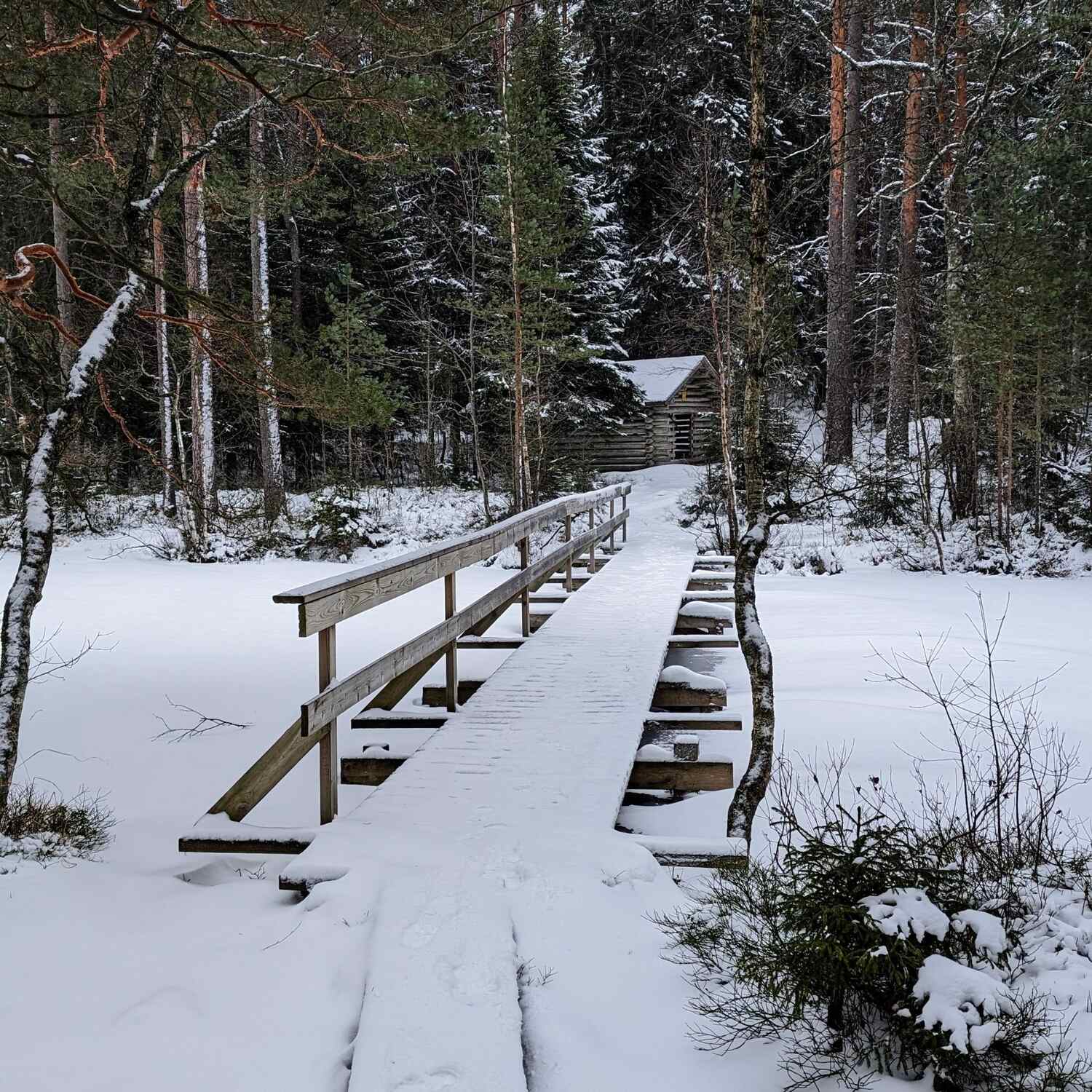 Helsinki