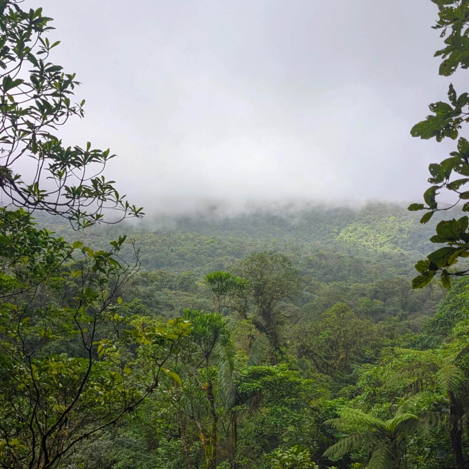Costa Rica