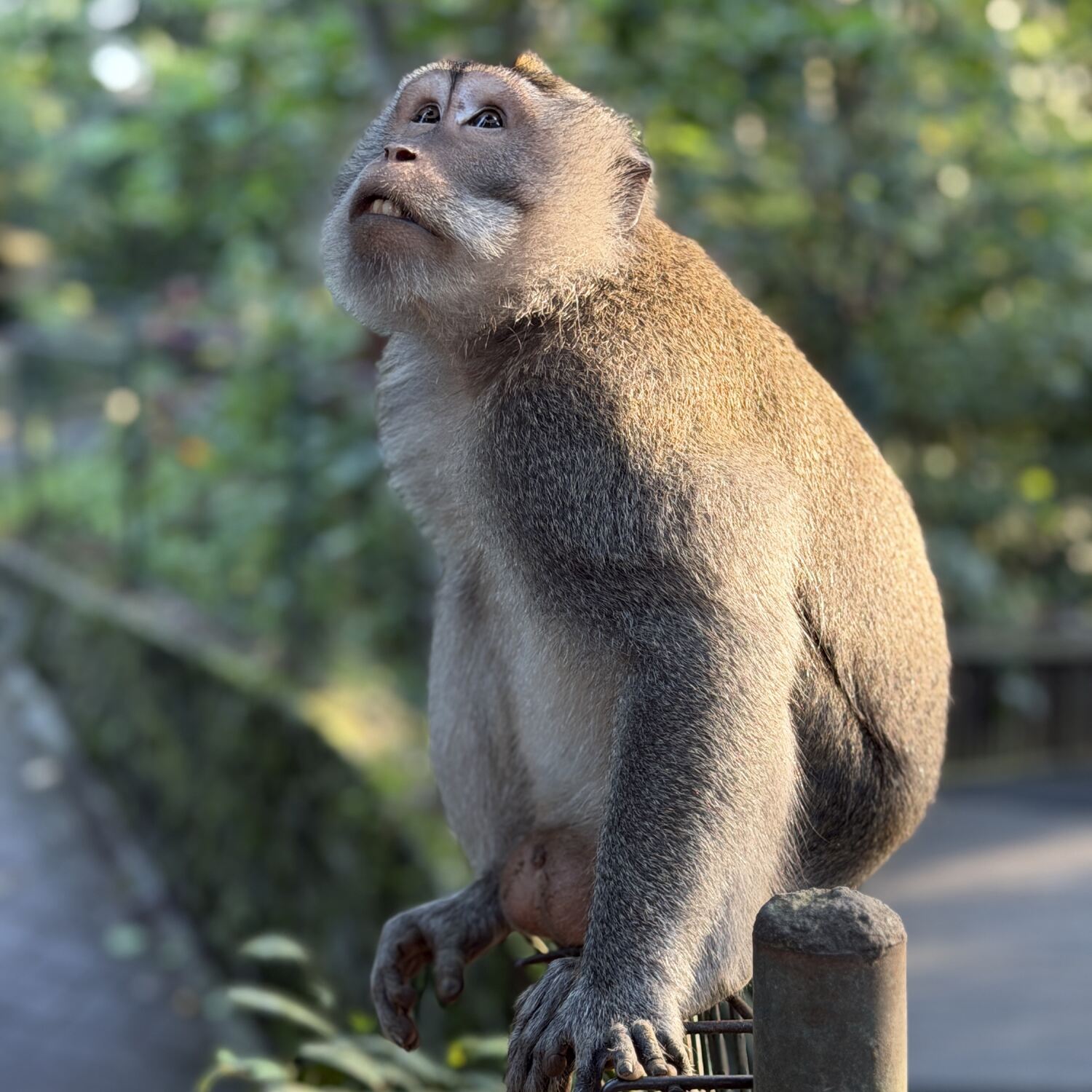 Indonesia