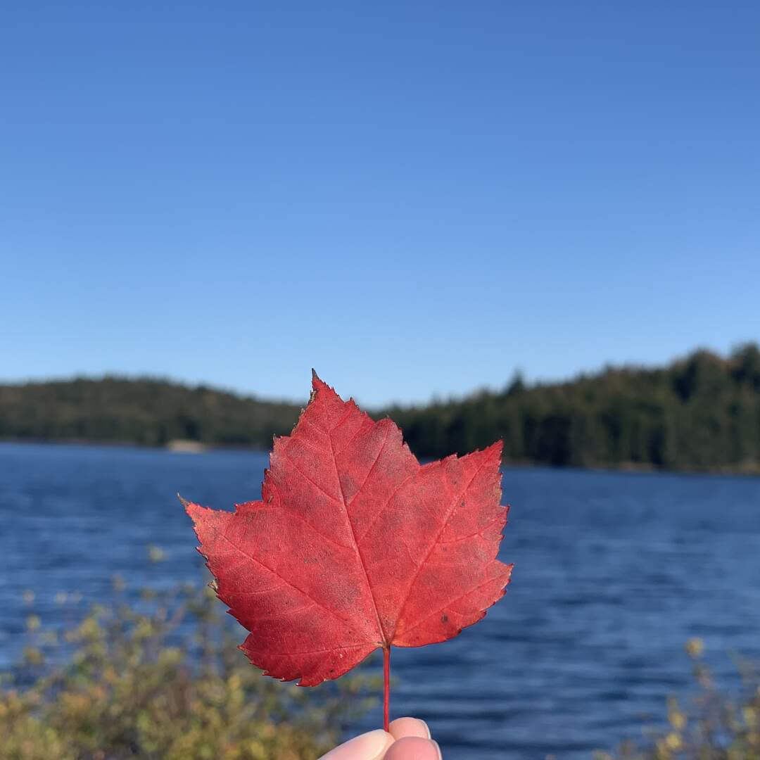Kanada 2022