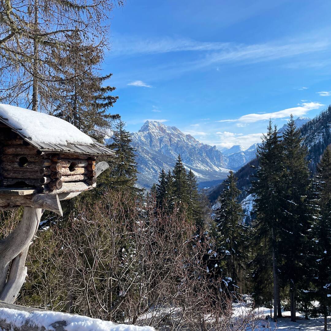 Dolomiten Skiausfahrt 2023