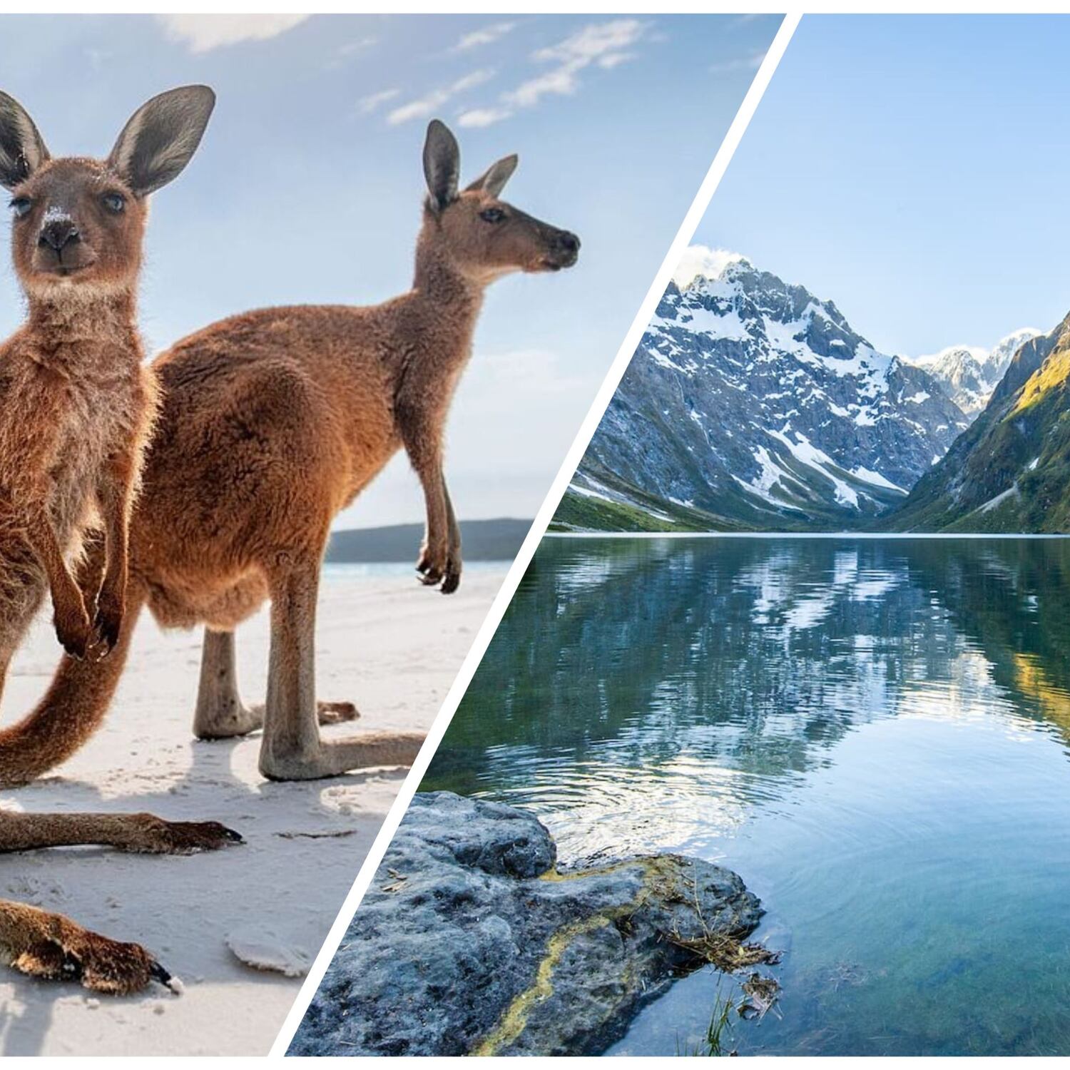 Neuseeland & Australien