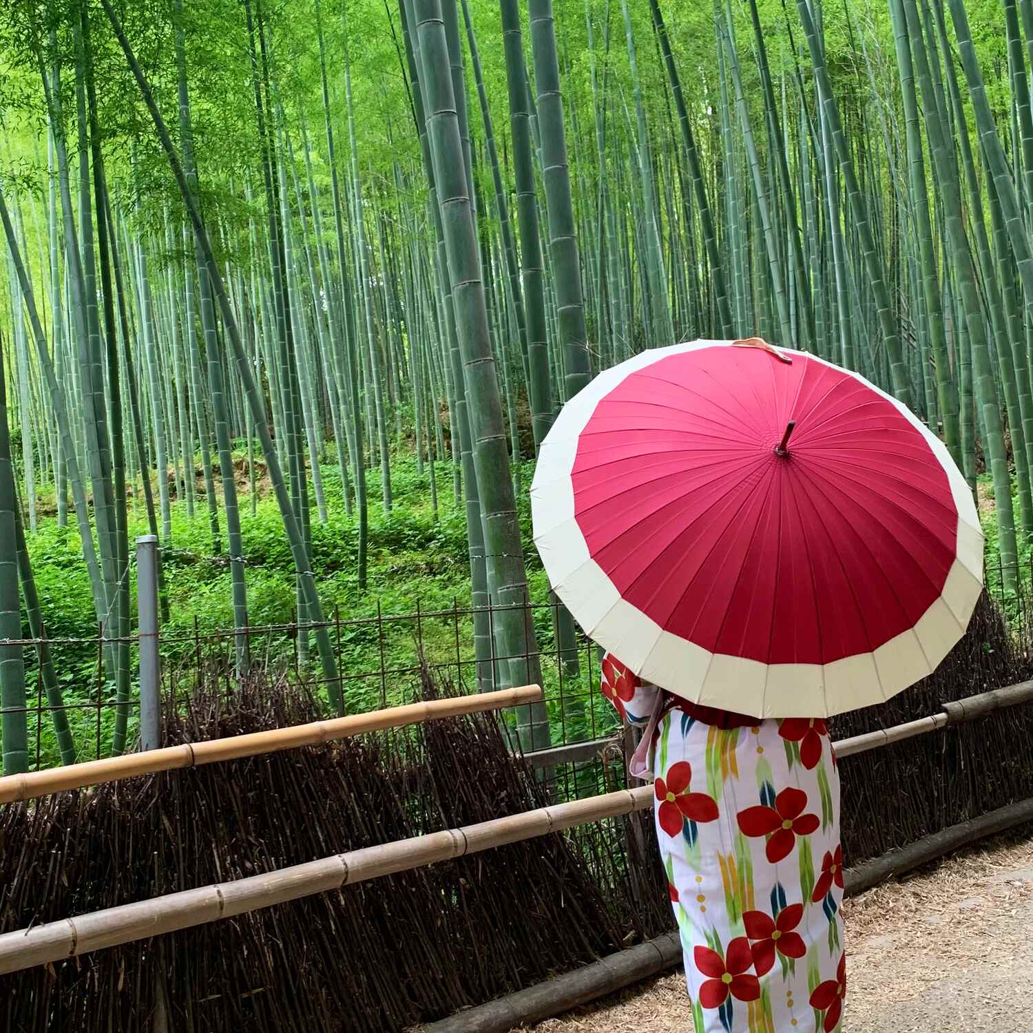 Japan 2024